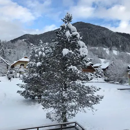 Amadee Appartements - Kaernten Card In Summer Included Apartment