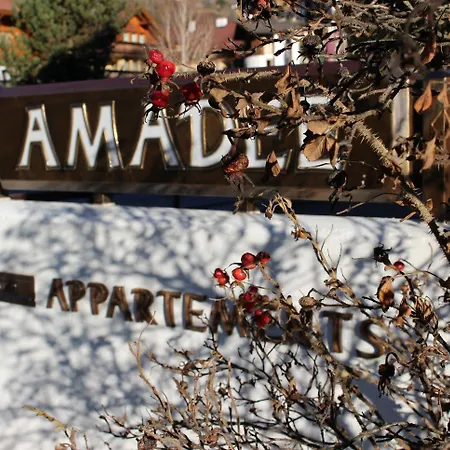 Amadee - Kaernten Card Im Sommer Inklusive