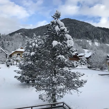 Apartman Amadee - Kaernten Card Im Sommer Inklusive *