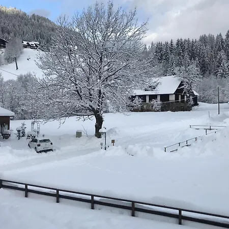 Apartamento Amadee *