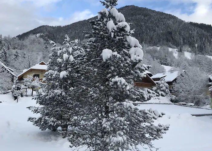 Appartamento Amadee *