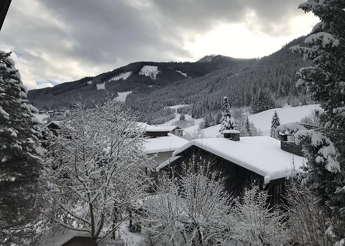 Appartamento Amadee *