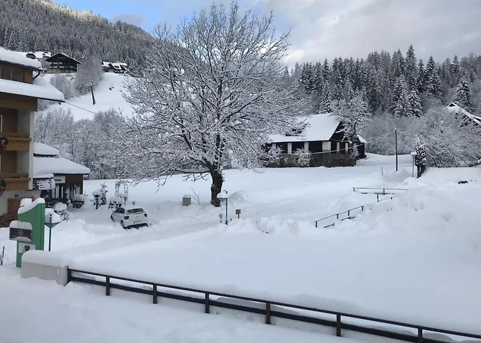 Appartamento Amadee *